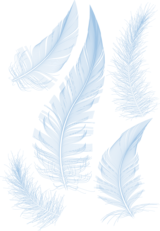 79653-white-feathers-feather-hq-image-free-png (1)