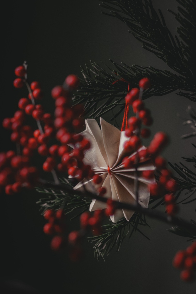 Surviving holiday grief